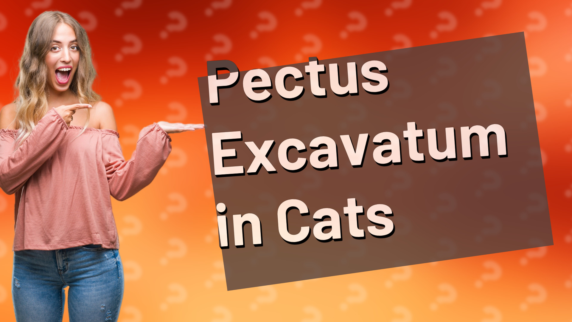 Pectus Excavatum in Cats