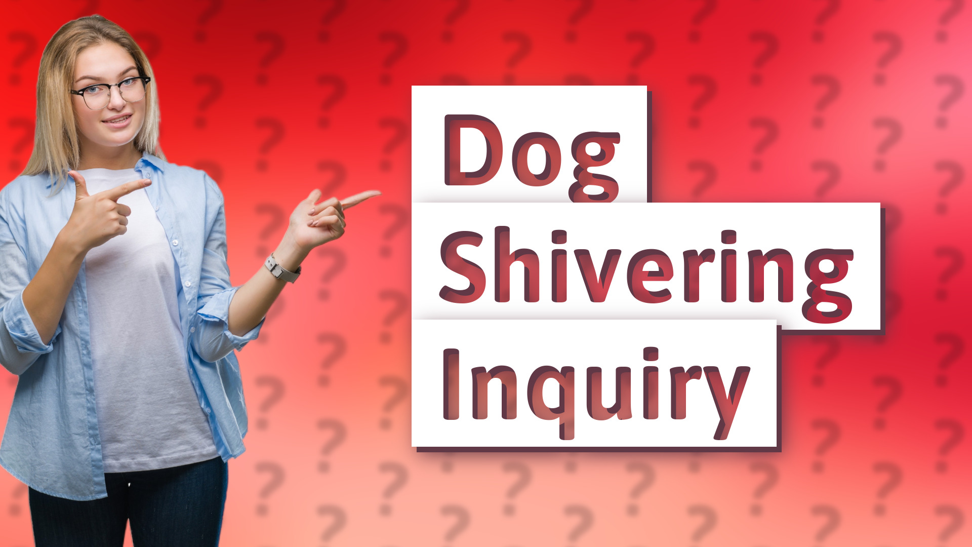 Dog Shivering Inquiry