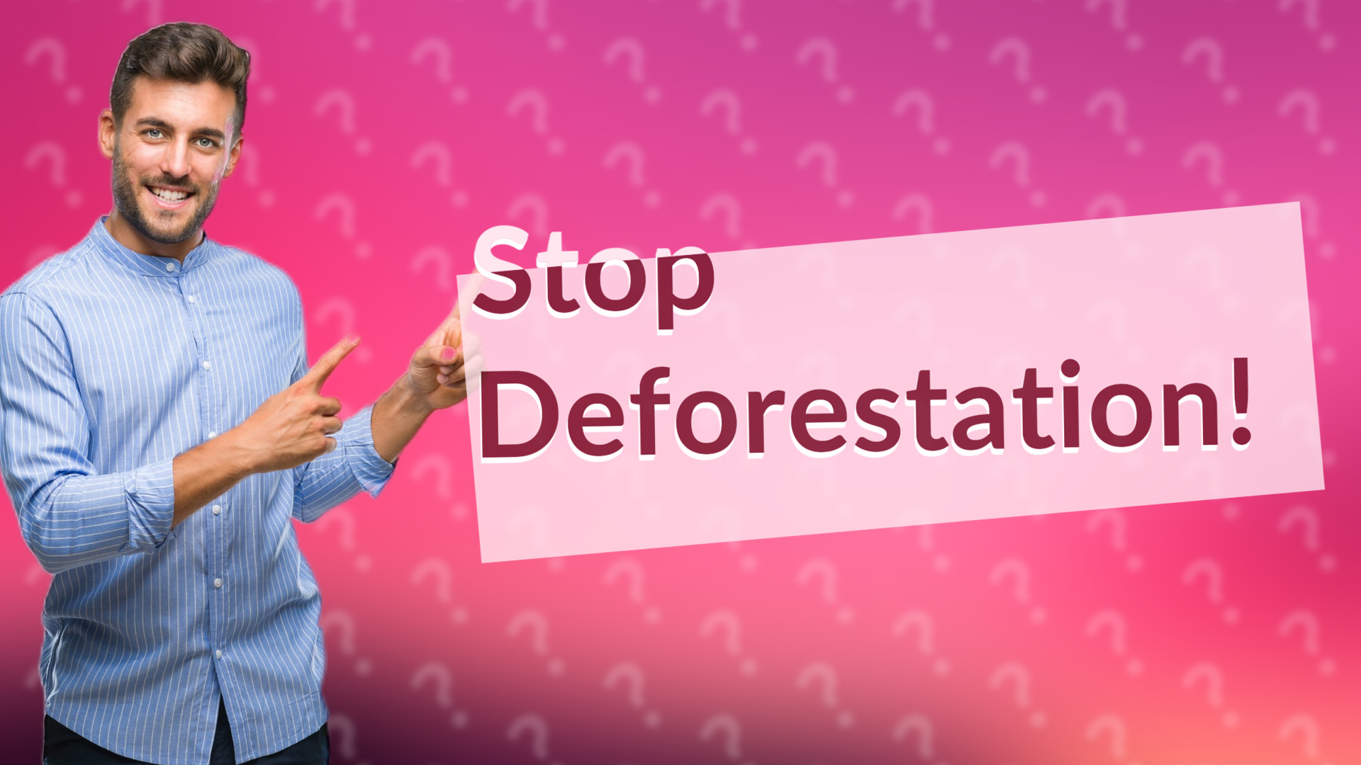 Stop Deforestation!
