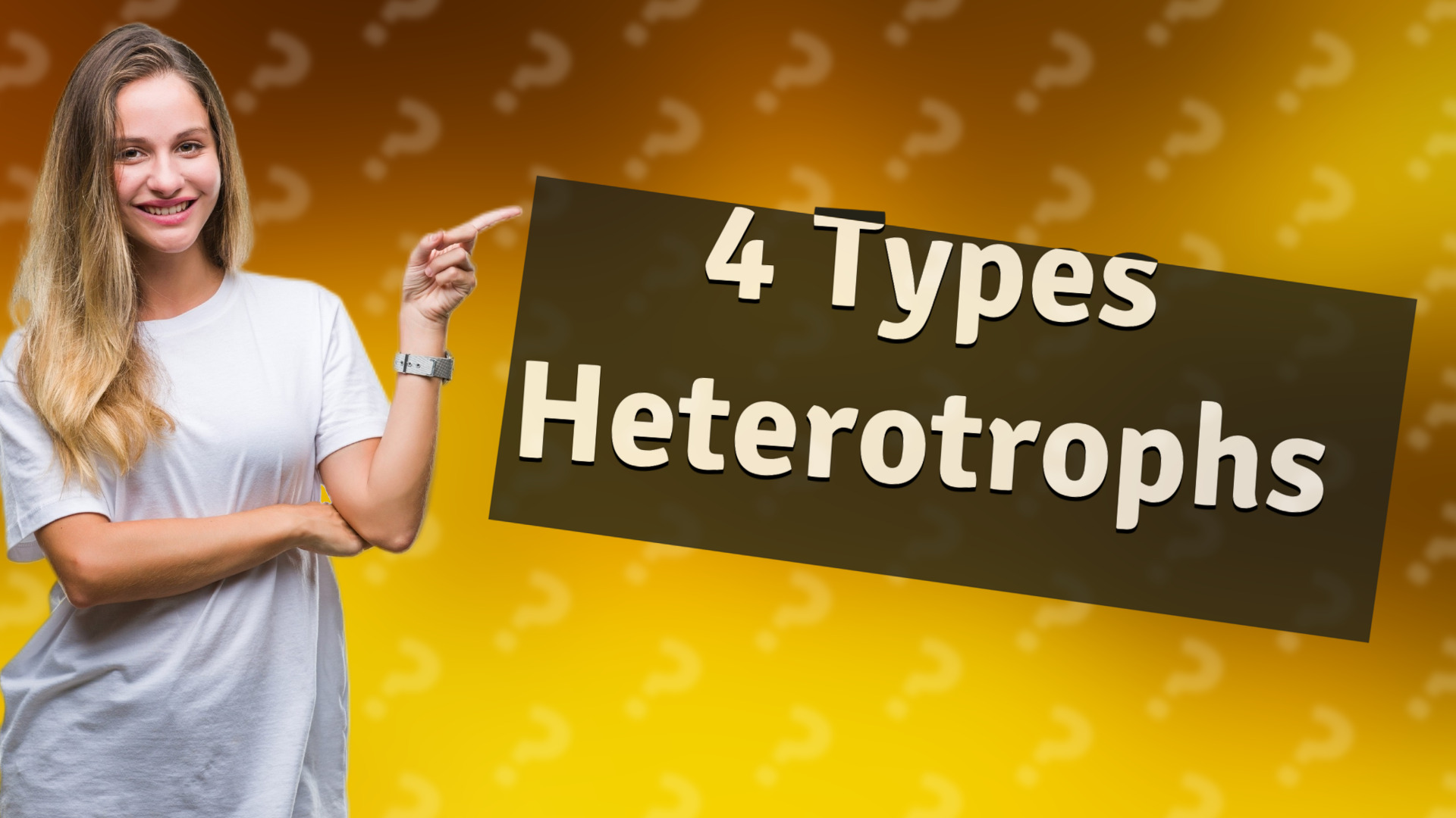 4 Types Heterotrophs