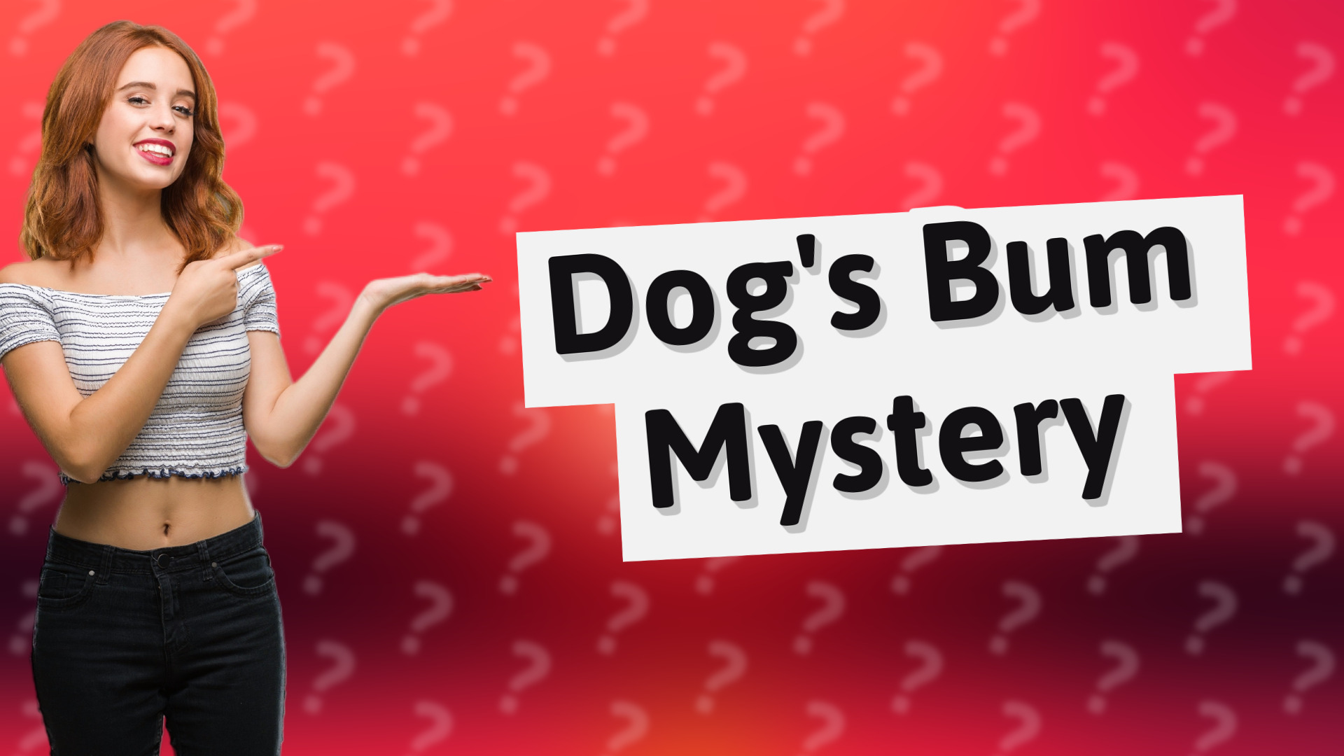 Dog's Bum Mystery
