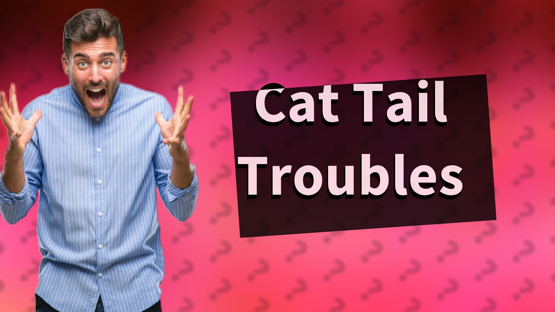 Cat Tail Troubles