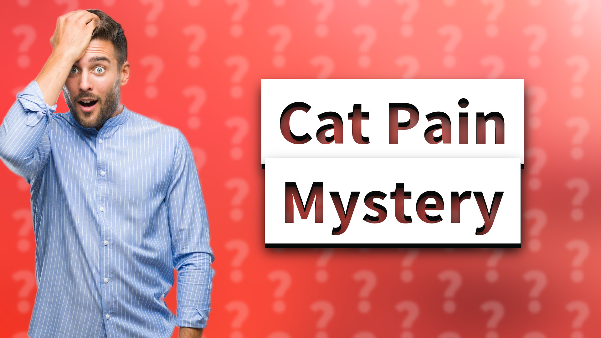 Cat Pain Mystery