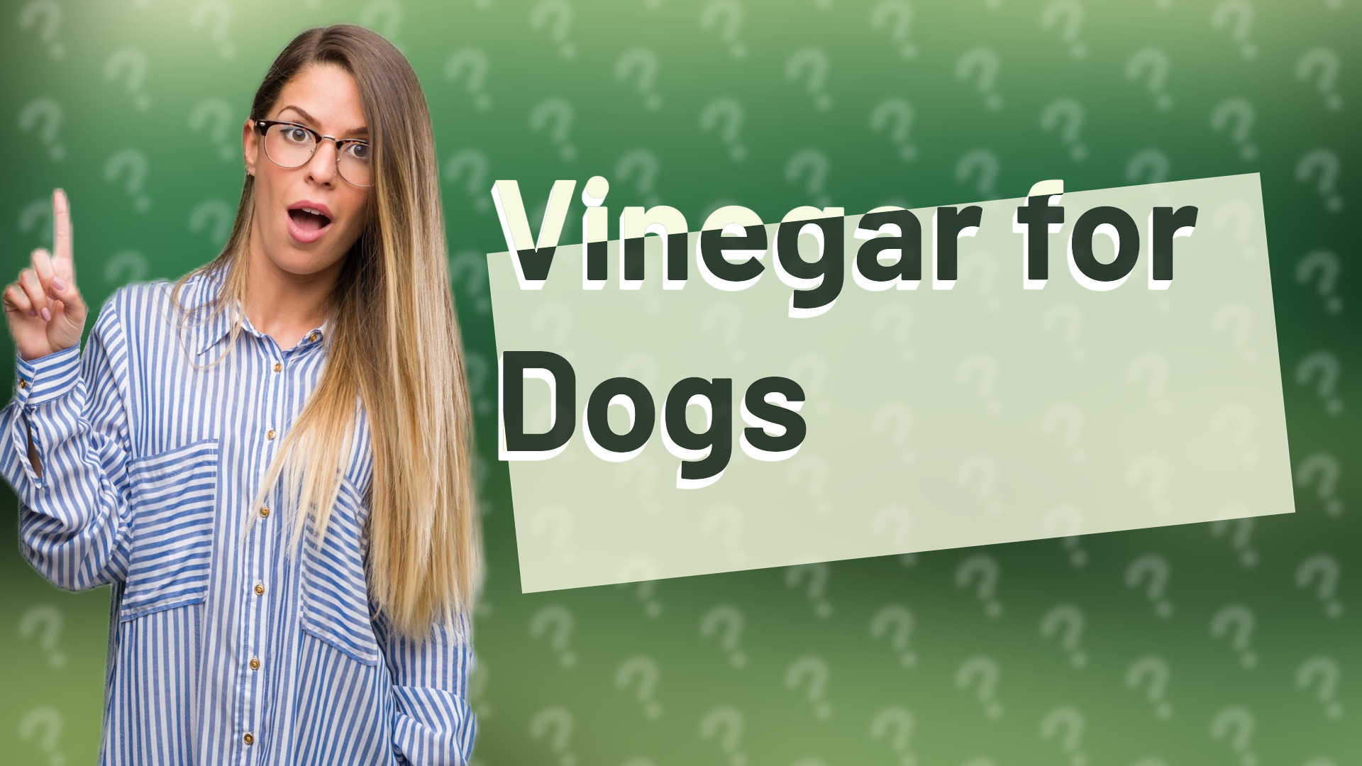 Vinegar for Dogs