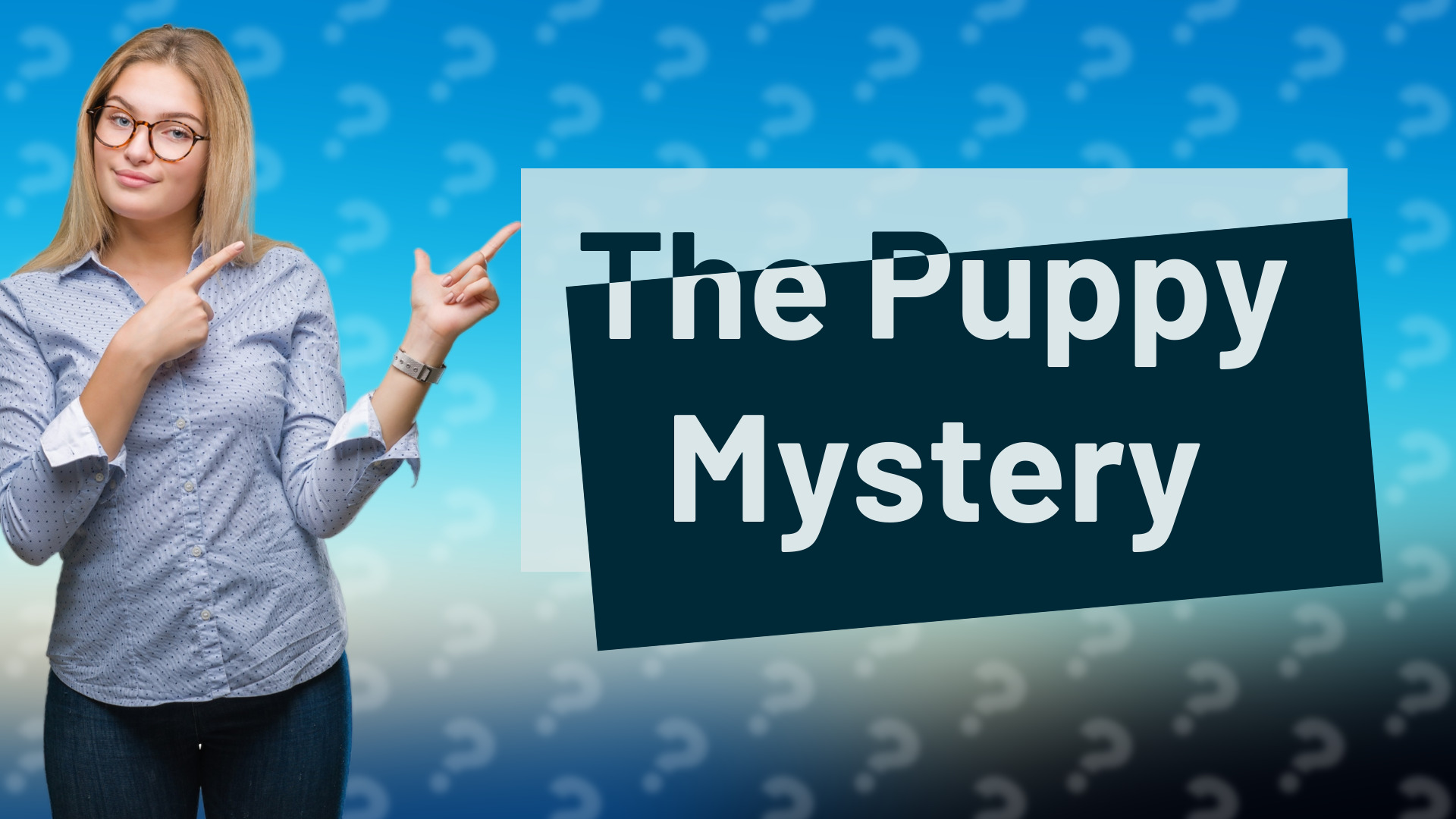 The Puppy Mystery