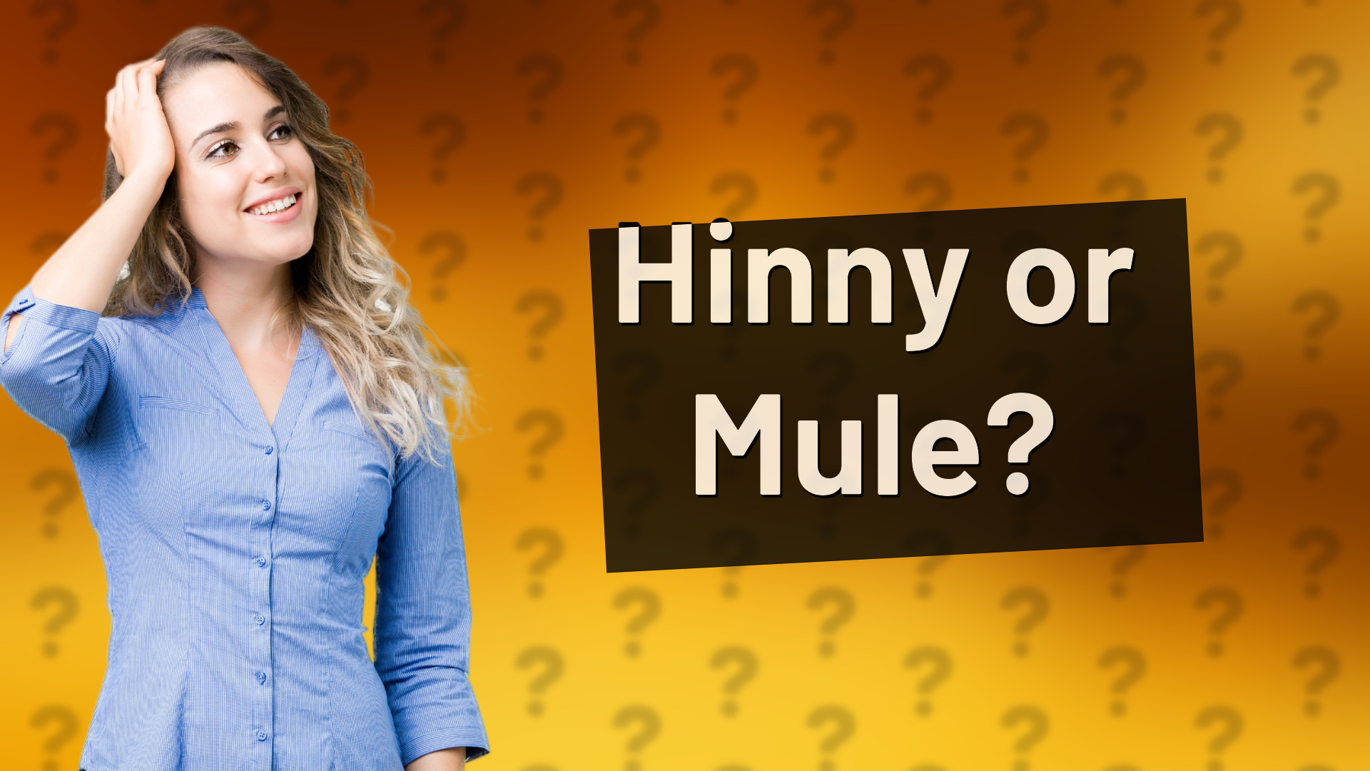 Hinny or Mule?