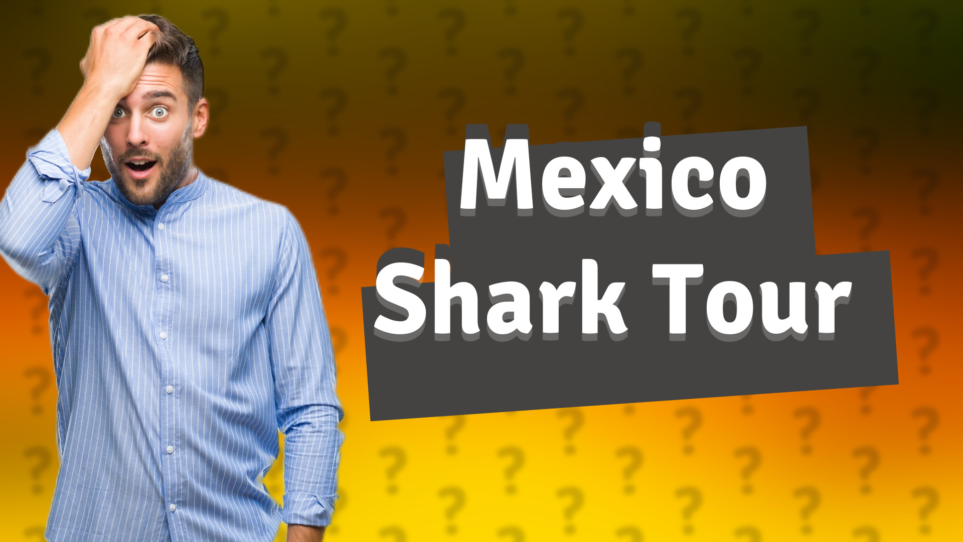 Mexico Shark Tour