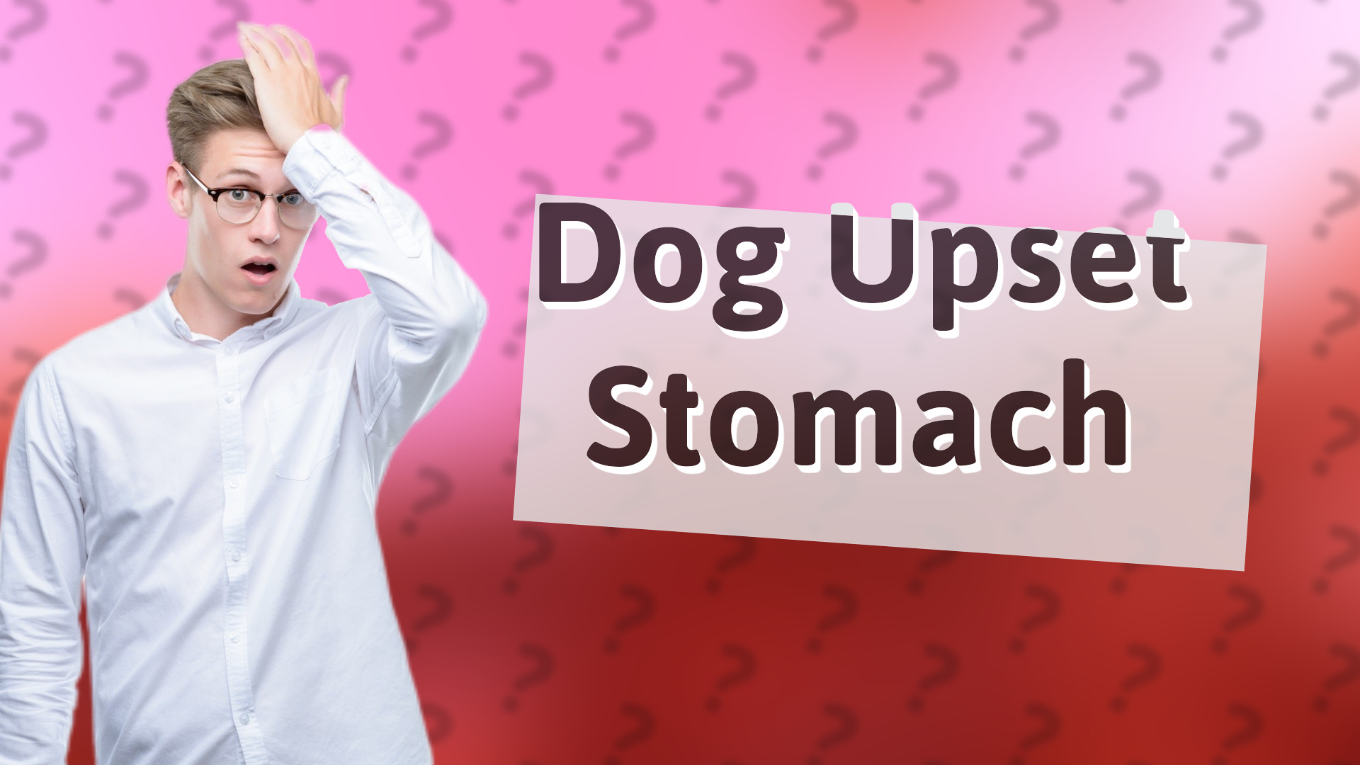 Dog Upset Stomach