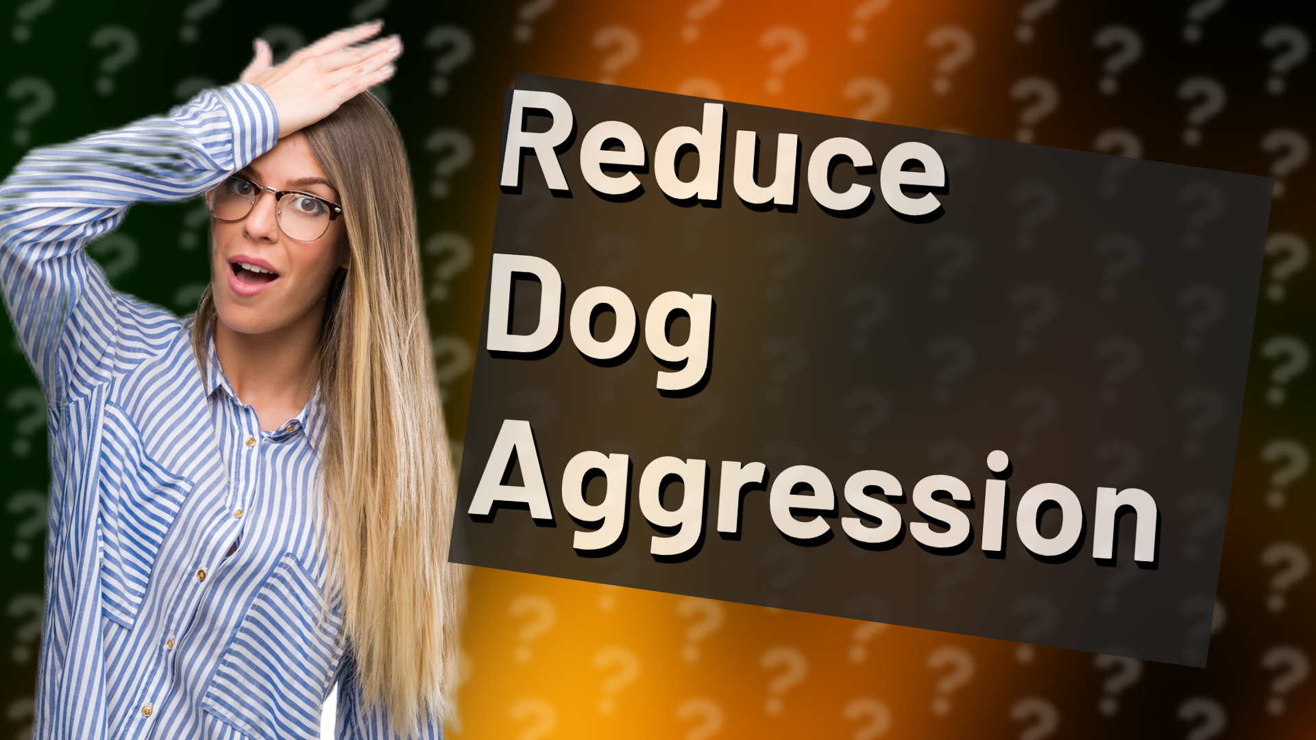 Reduce Dog Aggression