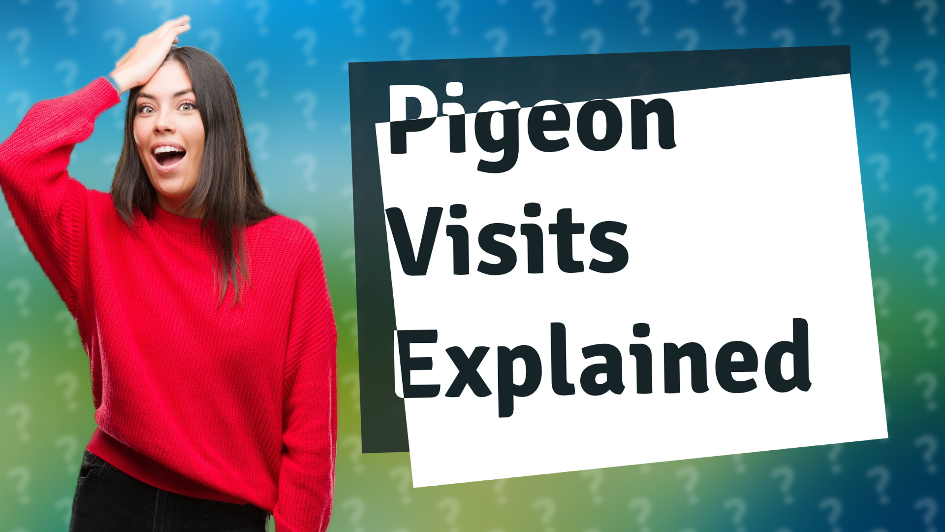 Pigeon Visits Explained