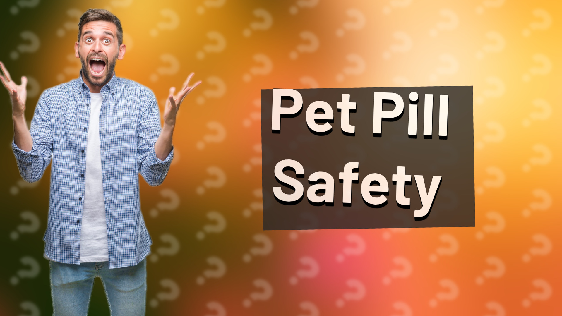 Pet Pill Safety
