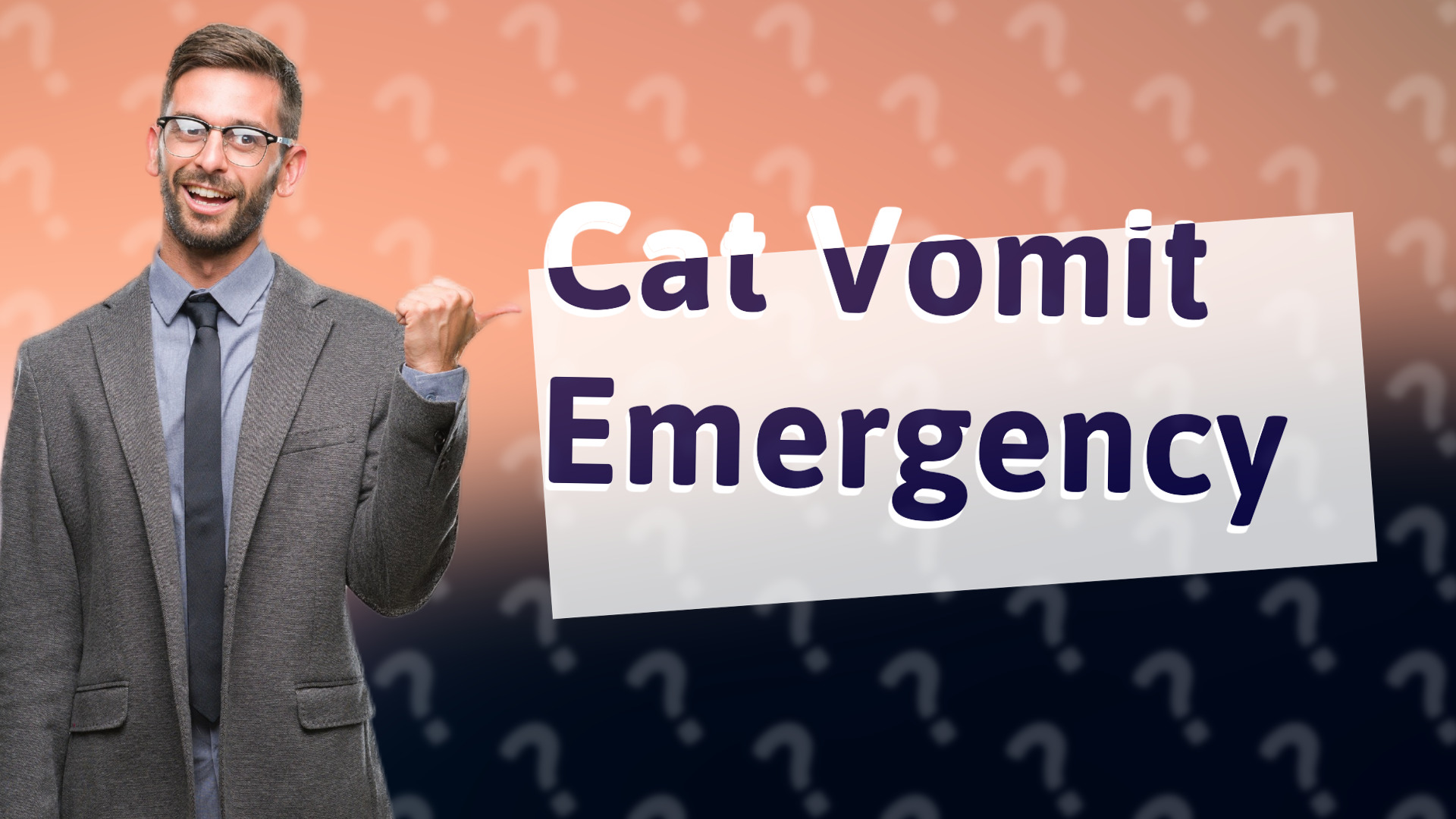Cat Vomit Emergency