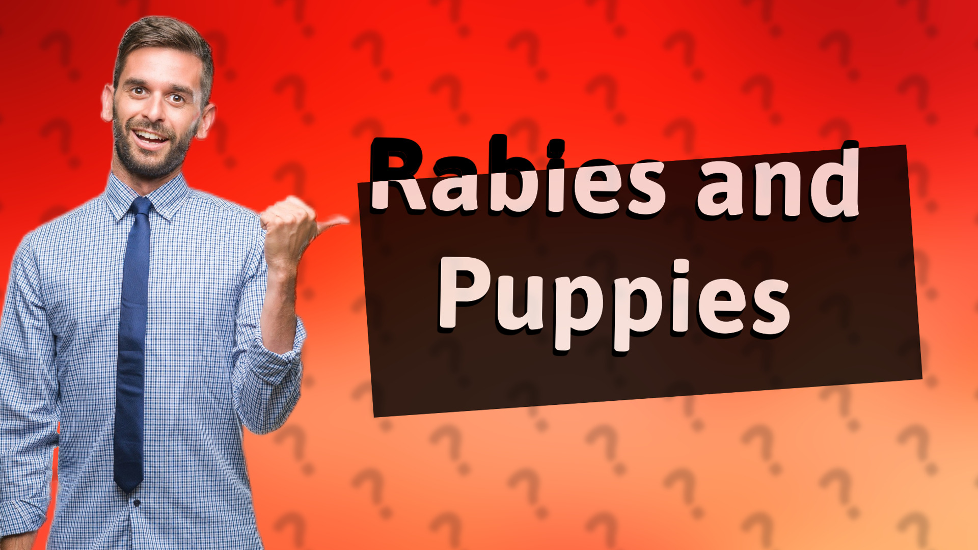 Rabies and Puppies