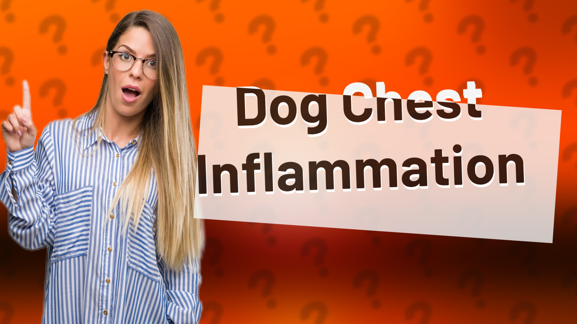 Dog Chest Inflammation