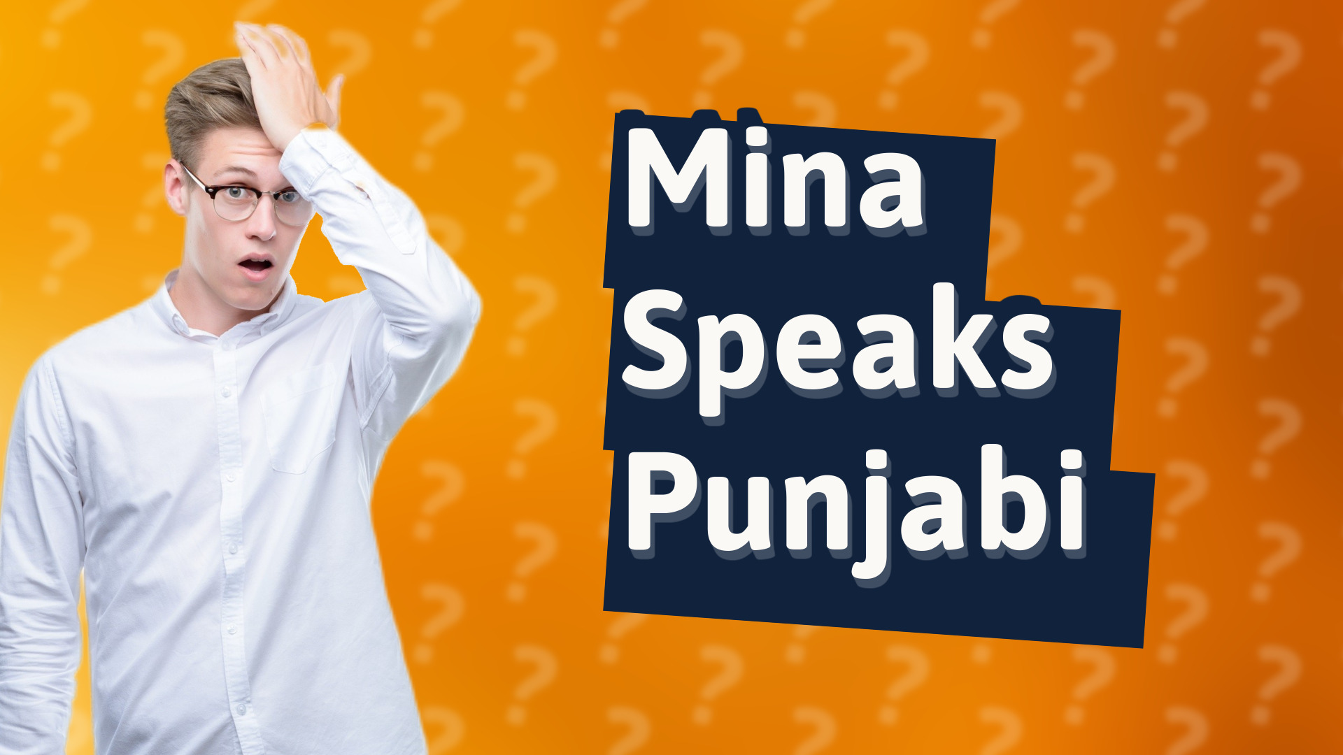Mina Speaks Punjabi