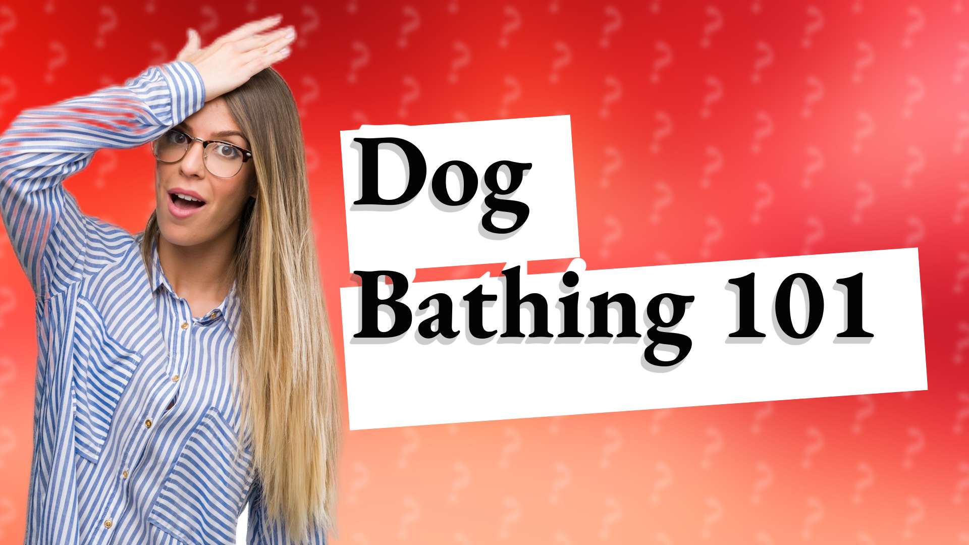 Dog Bathing 101