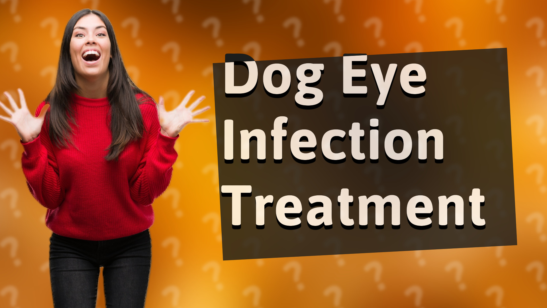 Dog Eye Infection Treatment