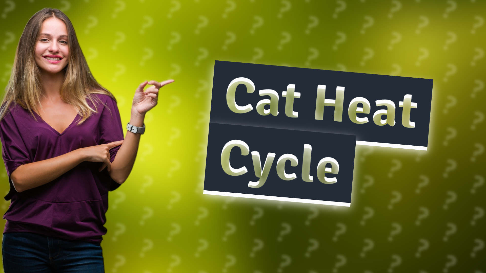 Cat Heat Cycle