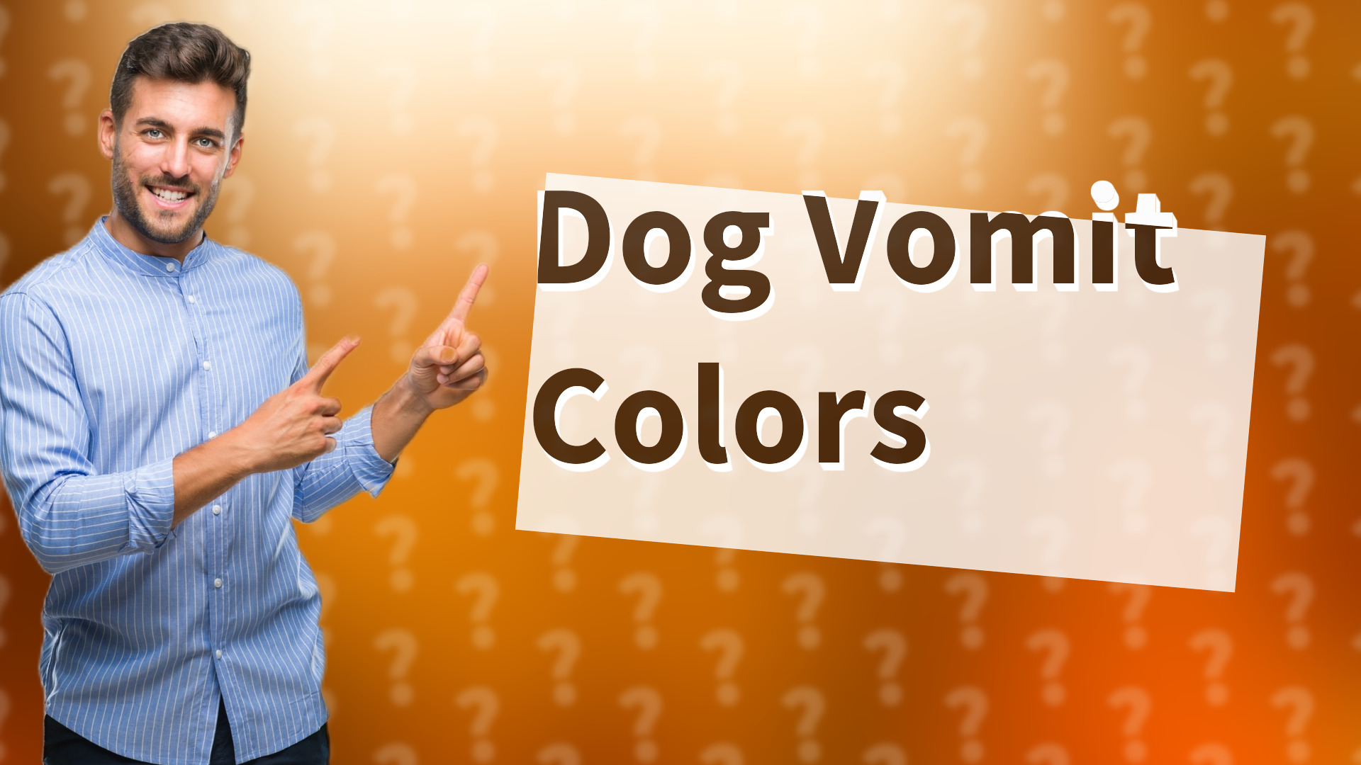 Dog Vomit Colors