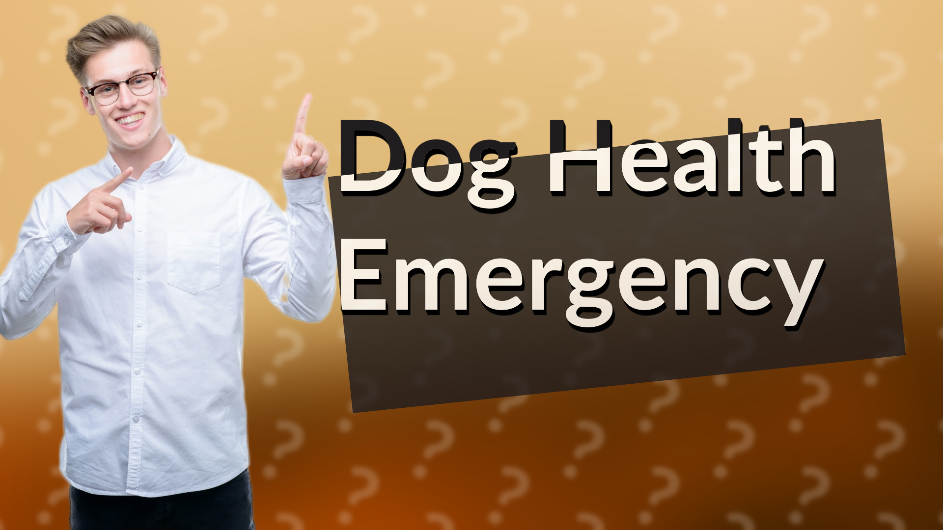 Dog Health Emergency