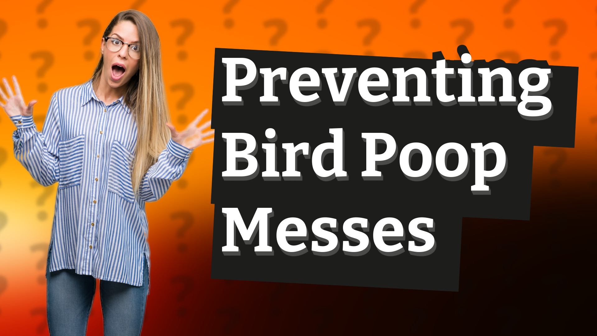 Preventing Bird Poop Messes