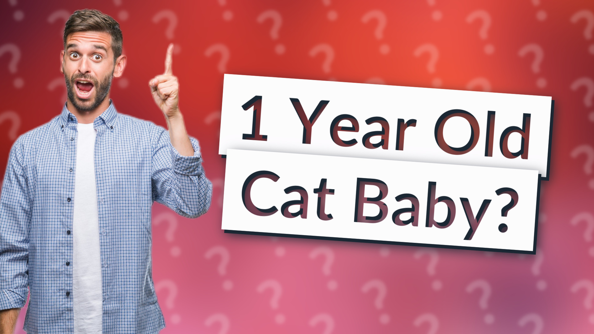 1 Year Old Cat Baby?