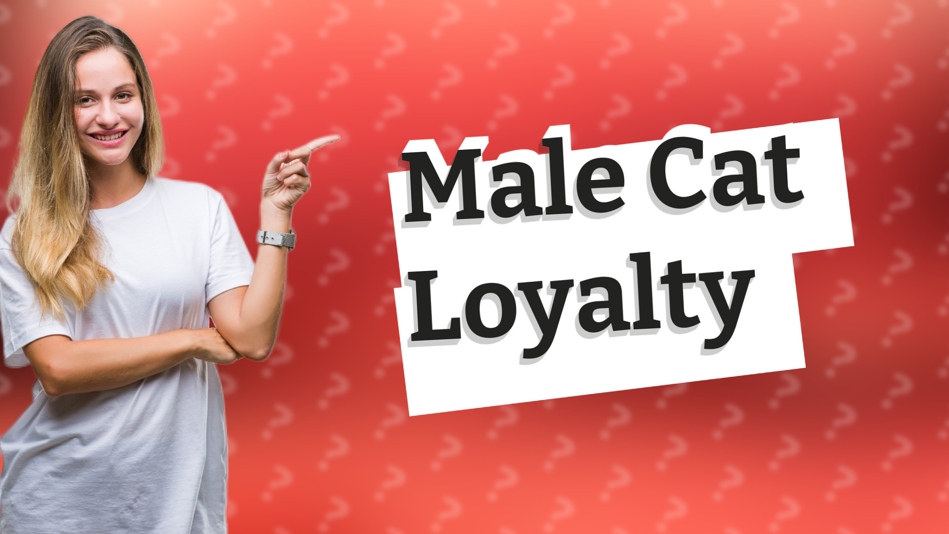Male Cat Loyalty
