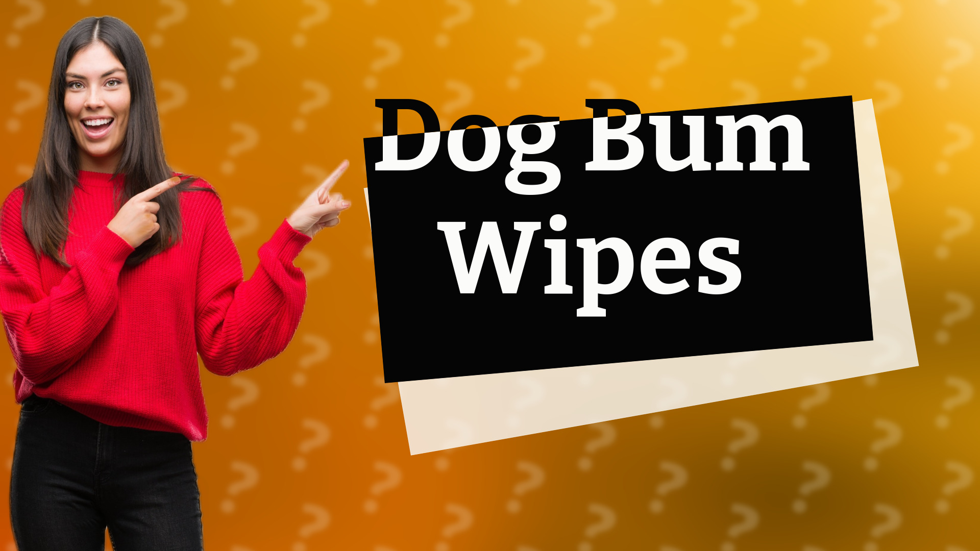 Dog Bum Wipes