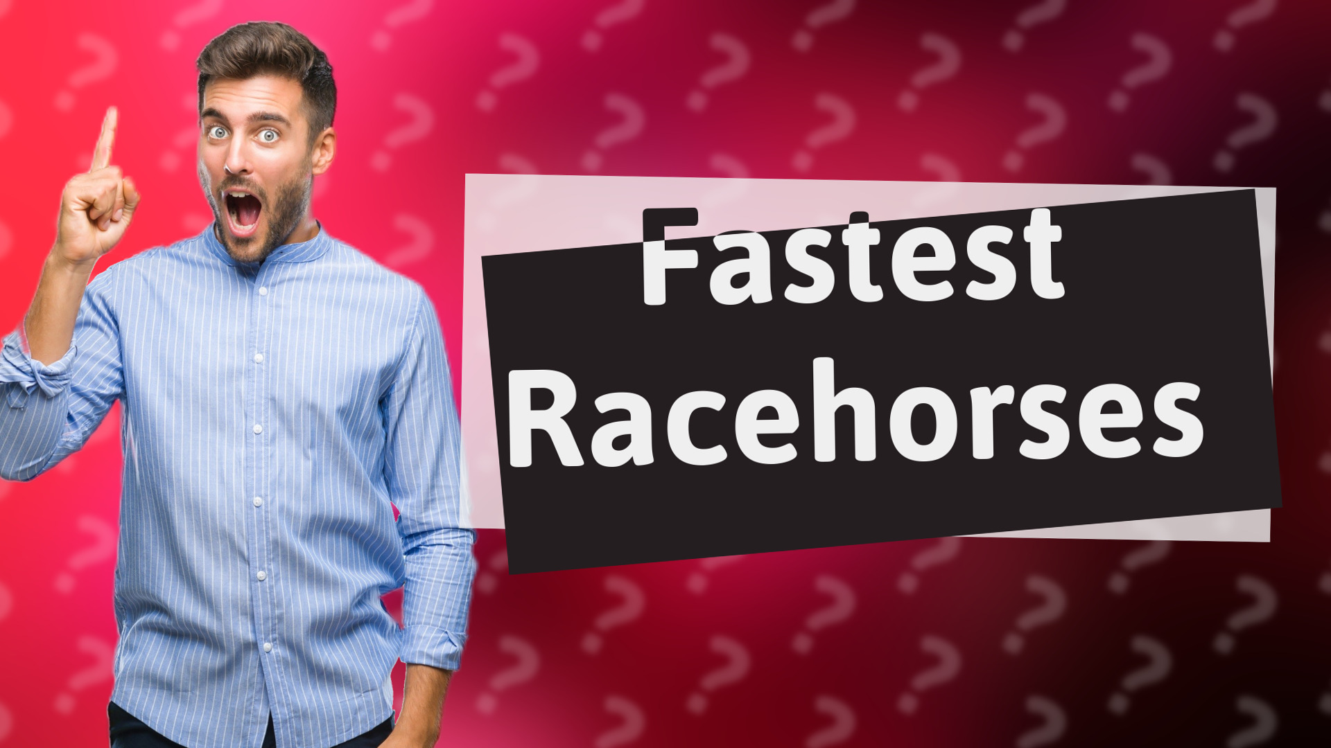 Fastest Racehorses