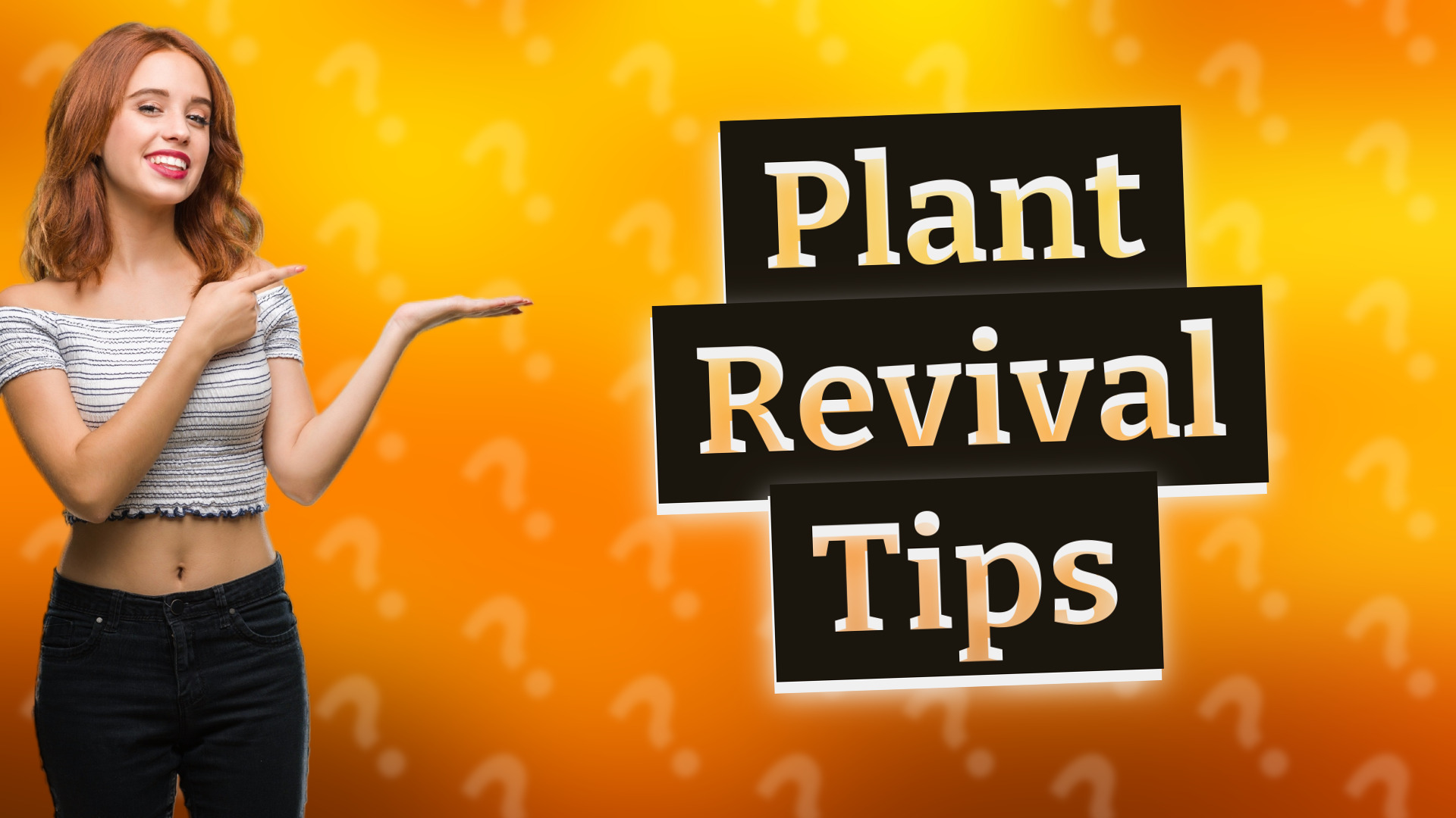 Plant Revival Tips