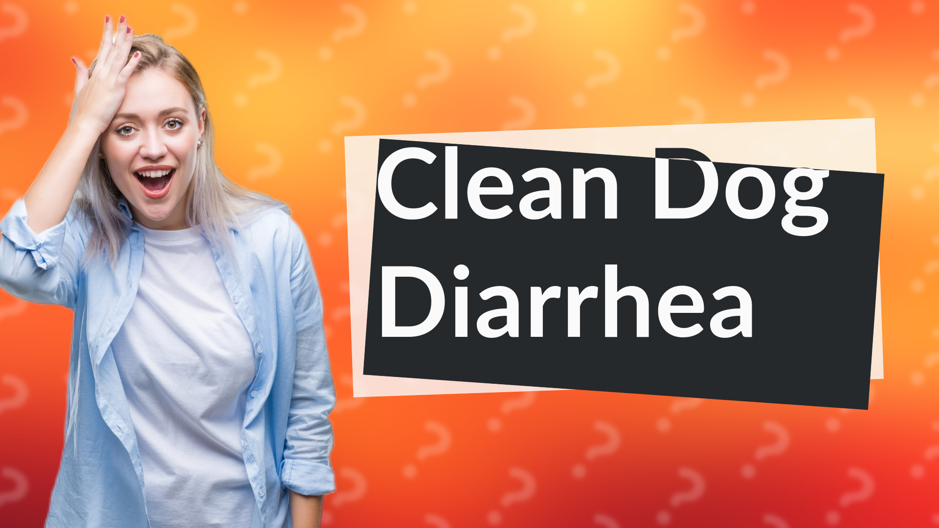 Clean Dog Diarrhea