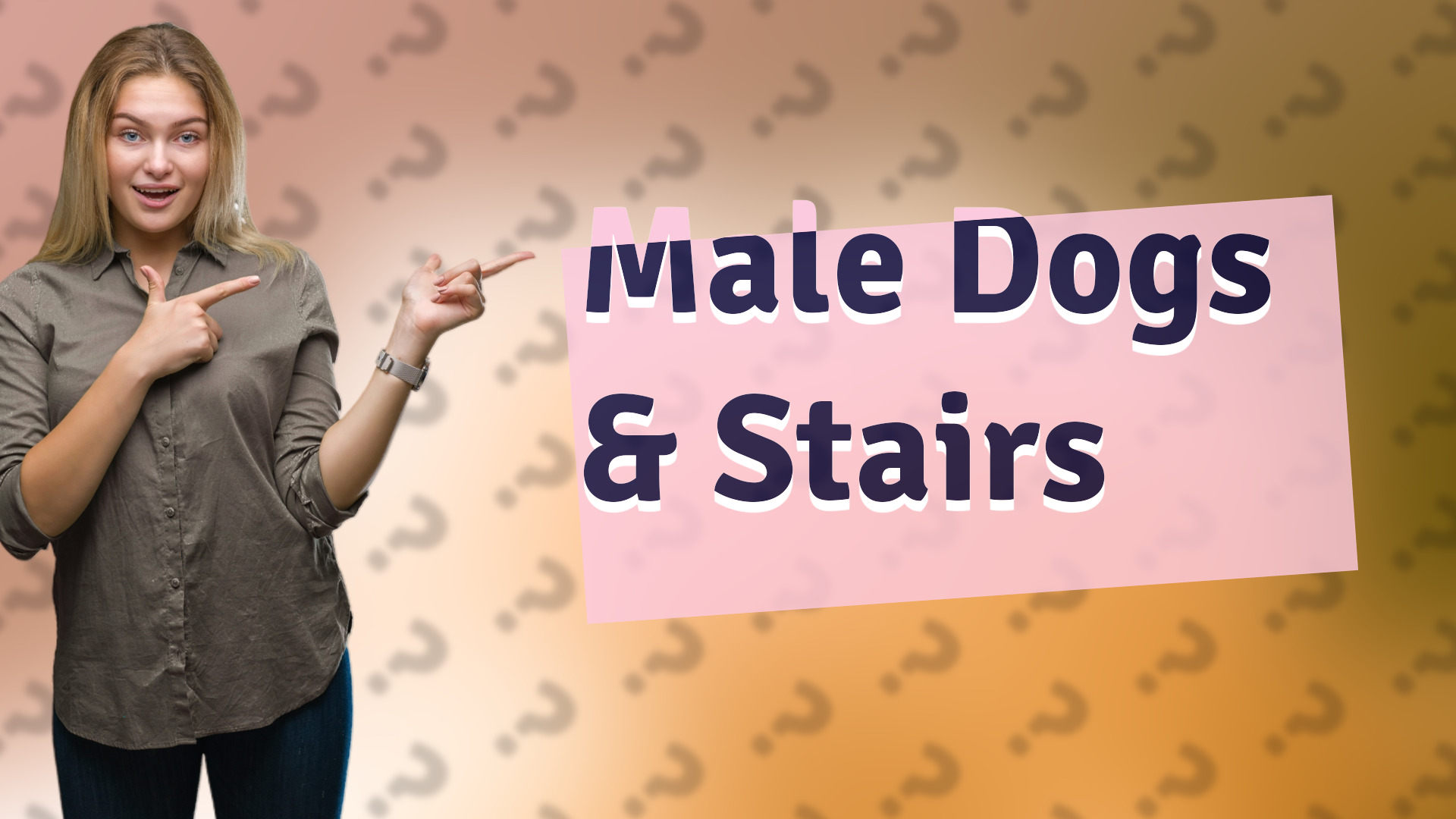 Male Dogs & Stairs