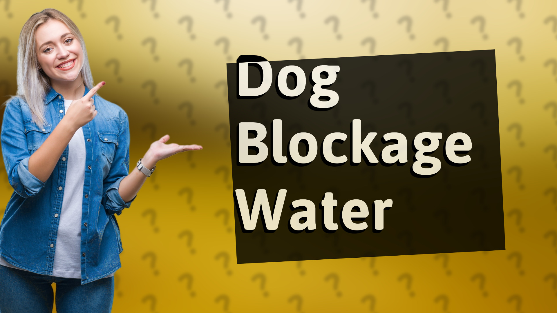 Dog Blockage Water