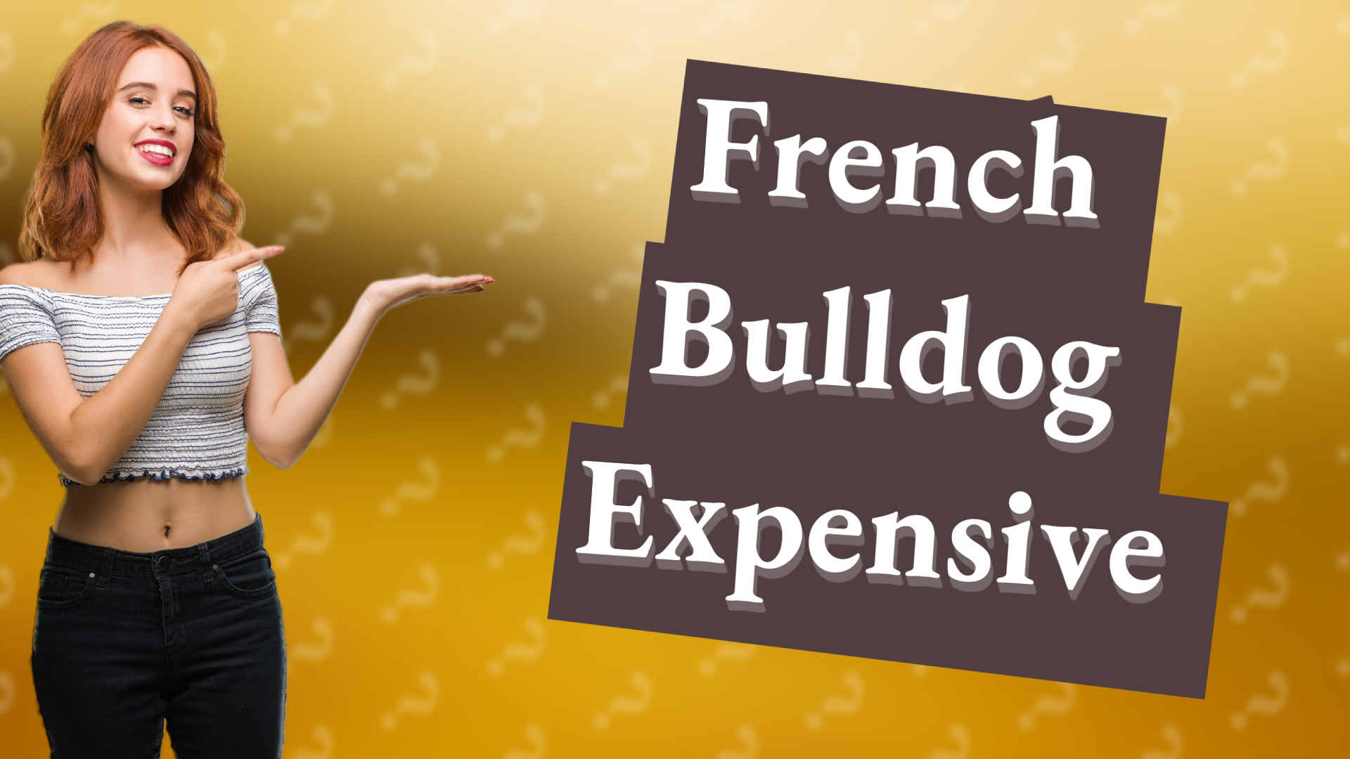 French Bulldog Expensive