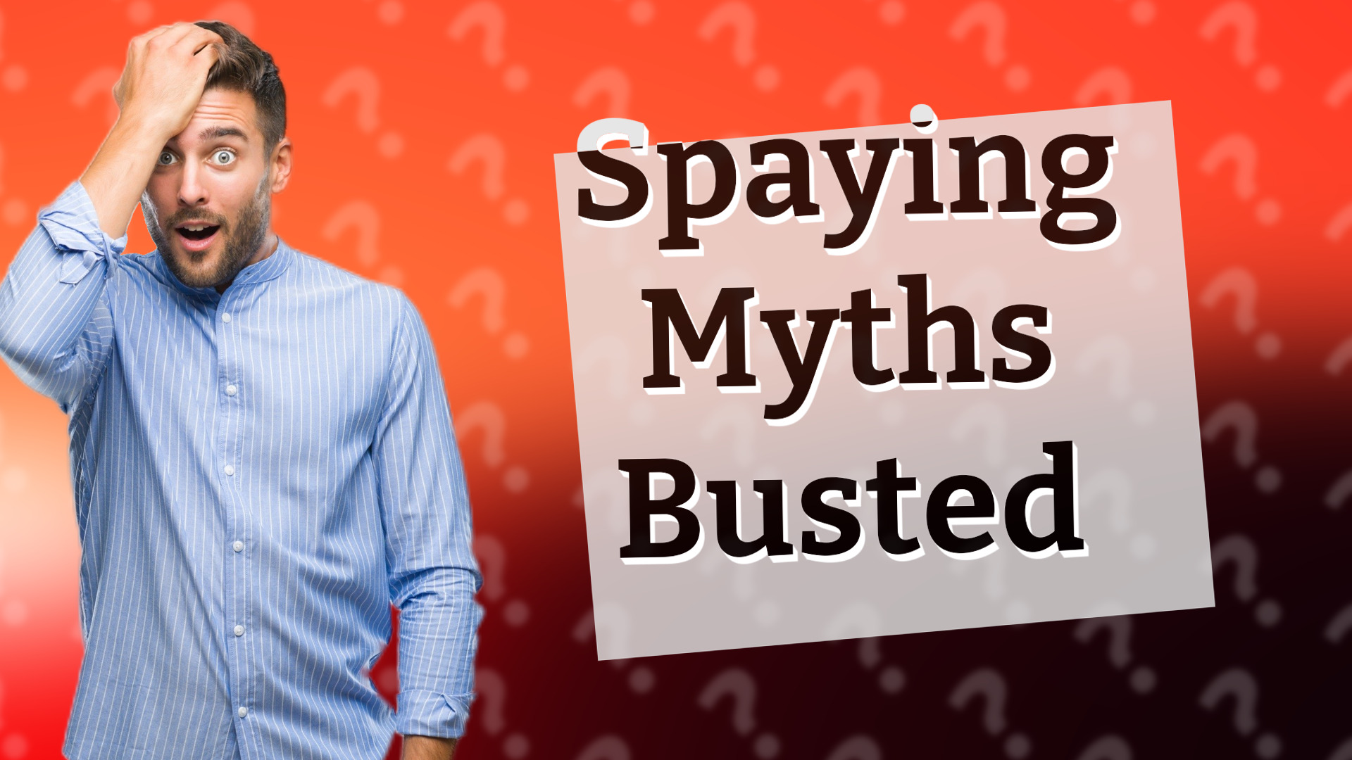 Spaying Myths Busted