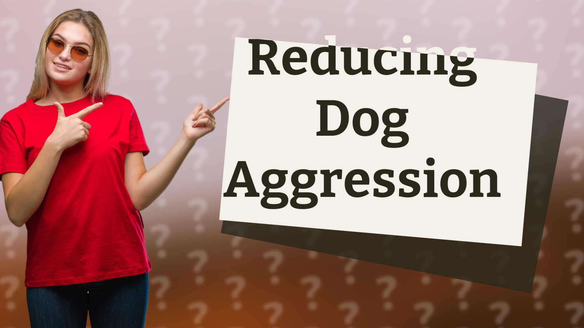 Reducing Dog Aggression