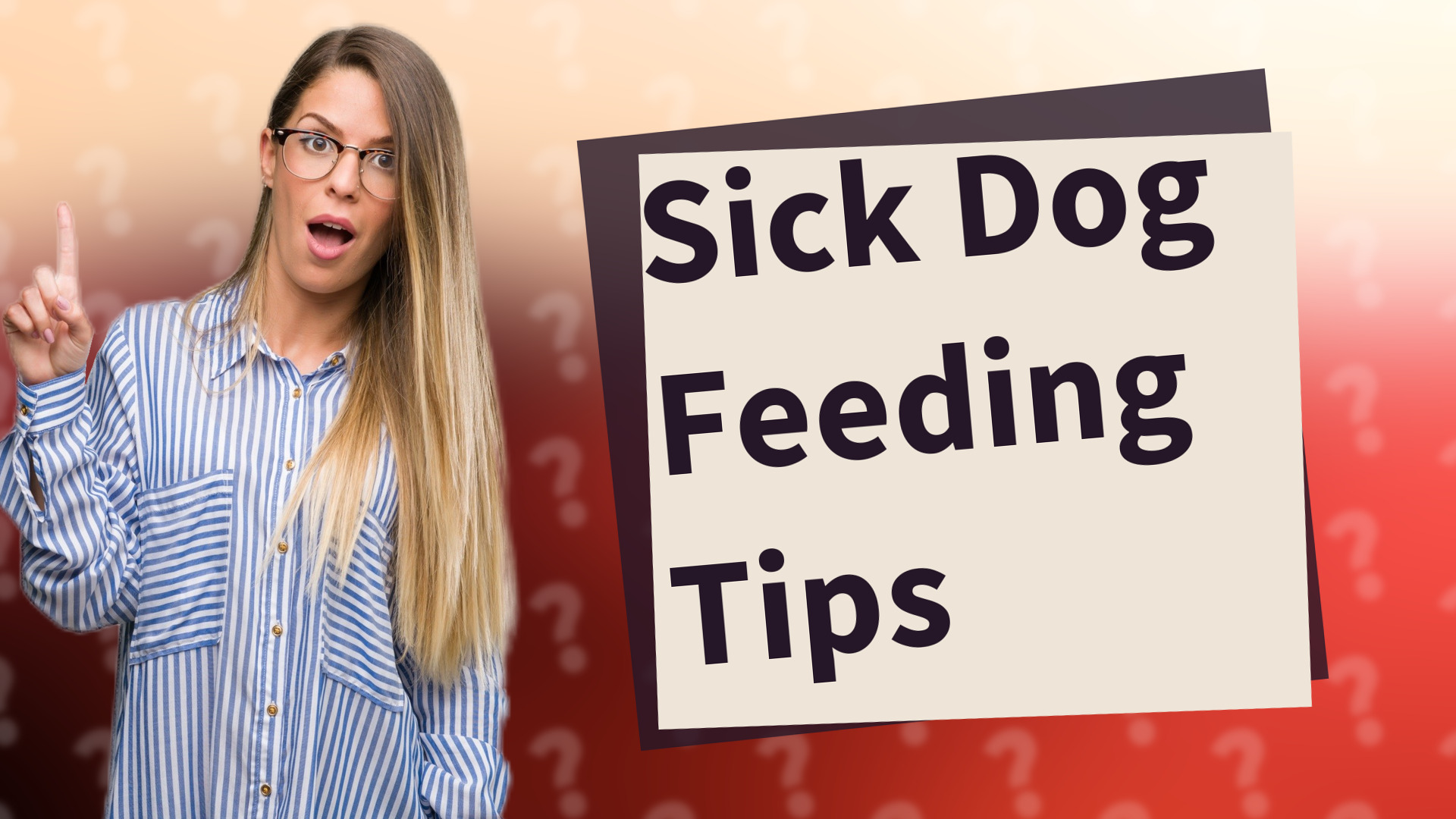 Sick Dog Feeding Tips