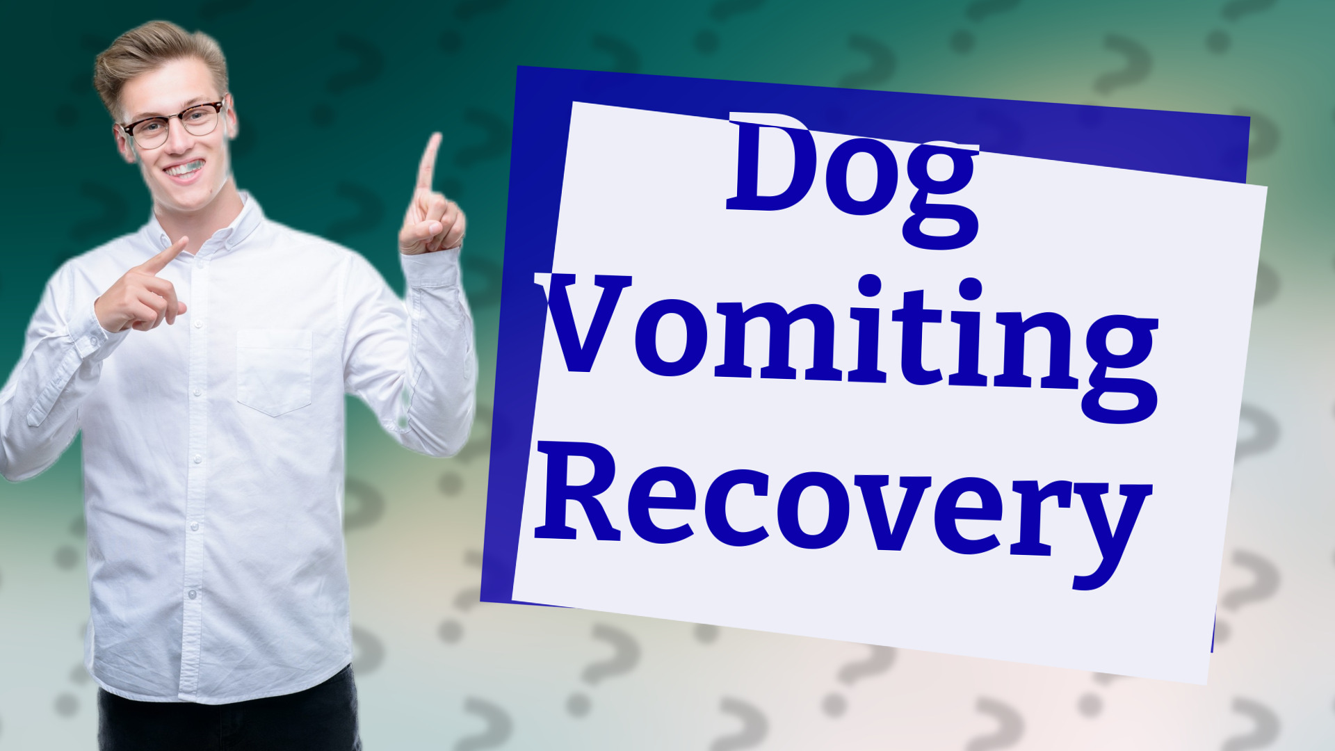 Dog Vomiting Recovery
