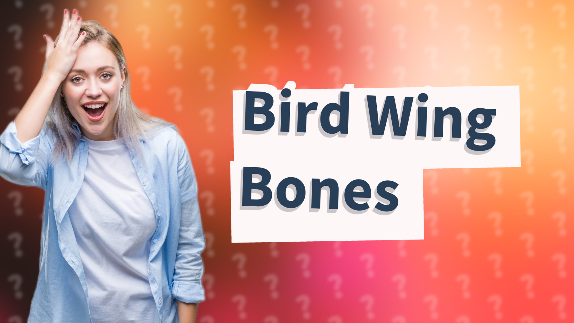 Bird Wing Bones