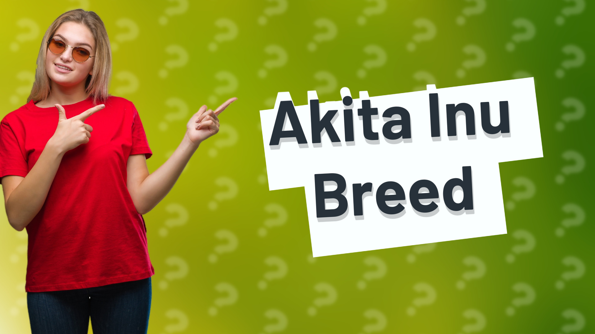 Akita Inu Breed