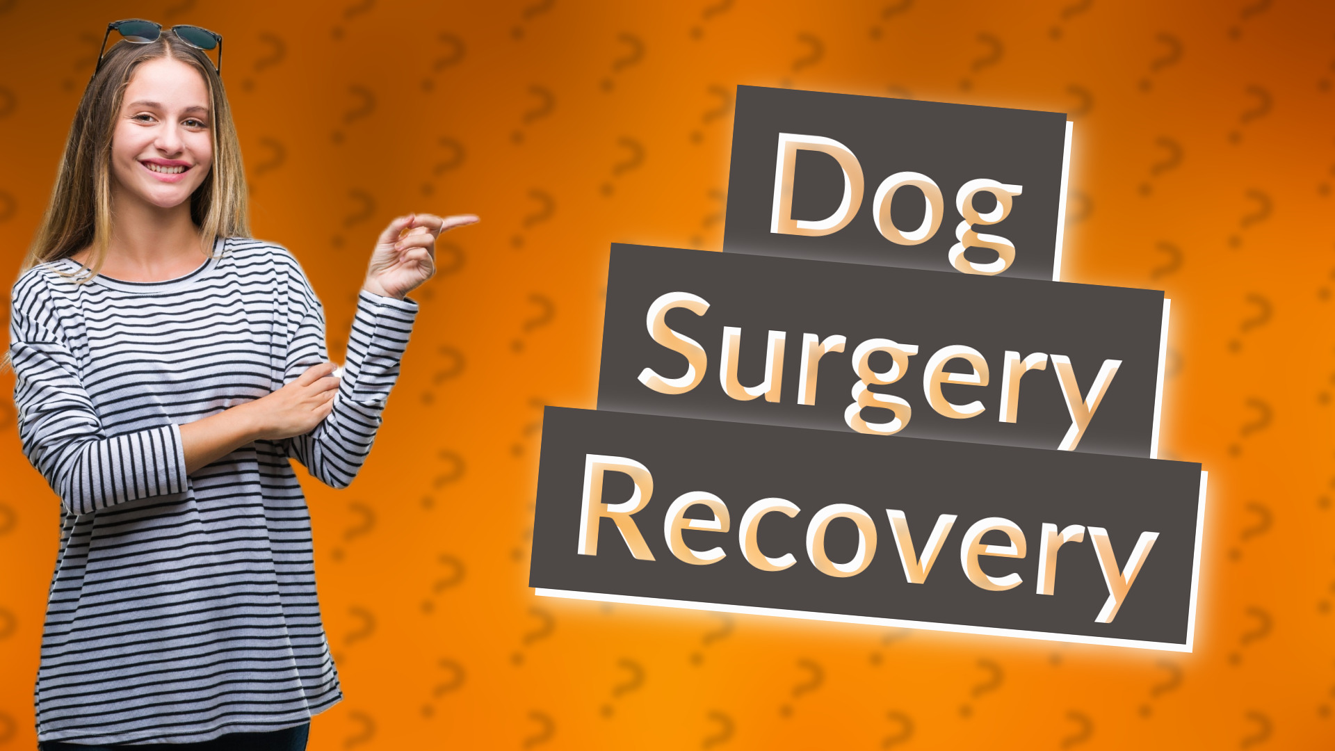 Dog Surgery Recovery