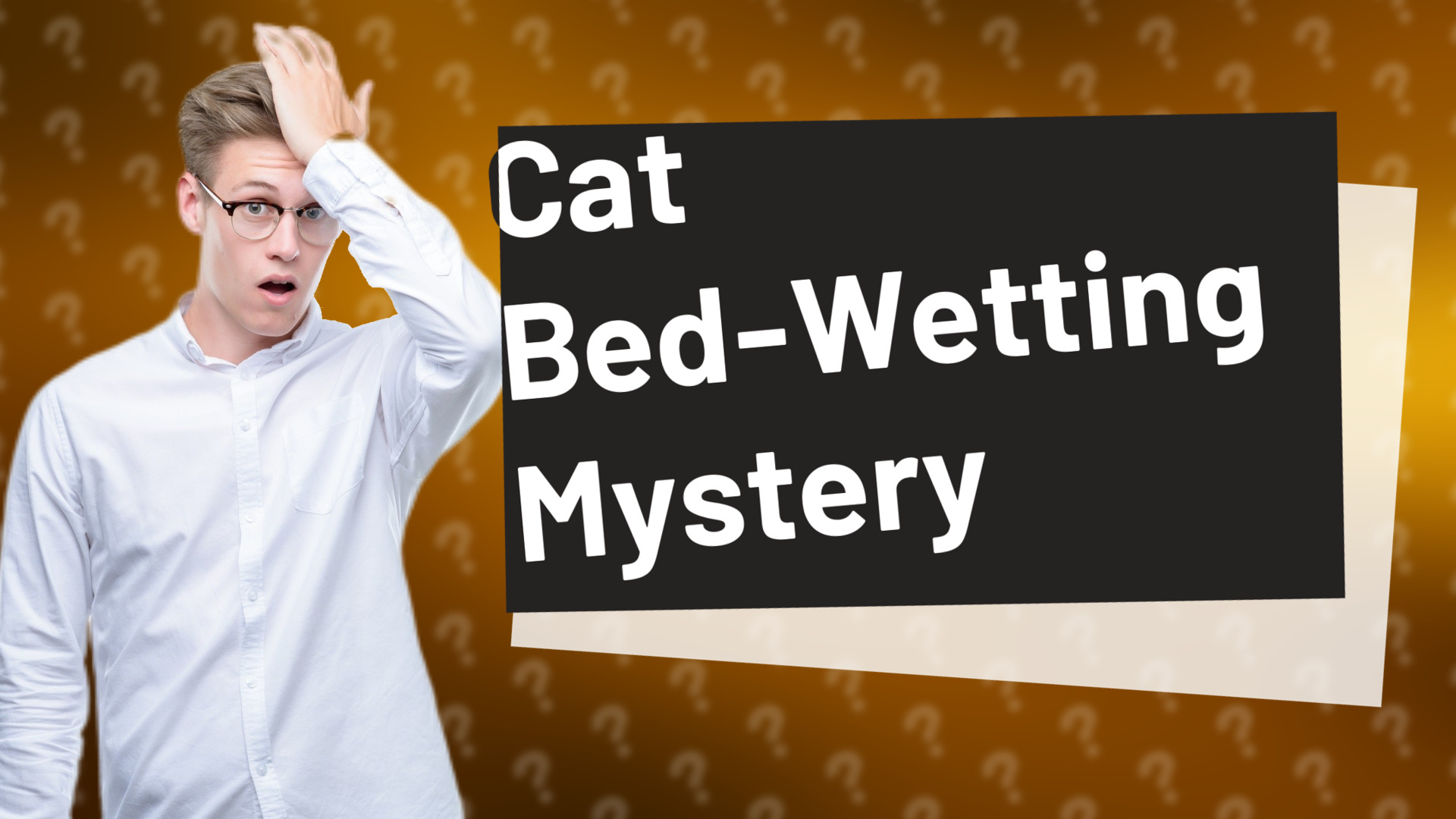 Cat Bed-Wetting Mystery