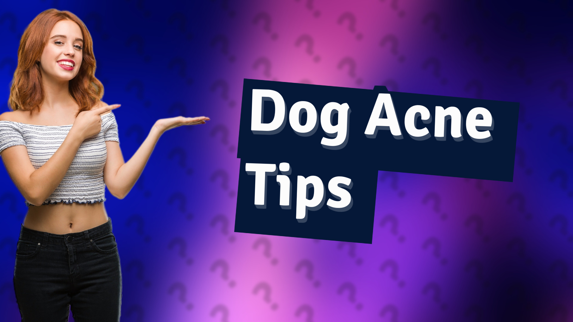 Dog Acne Tips