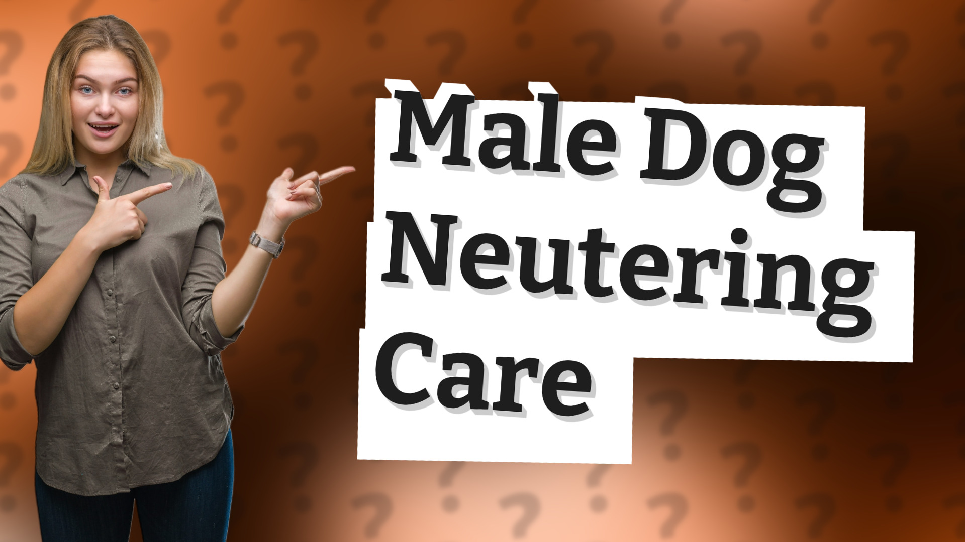 Male Dog Neutering Care