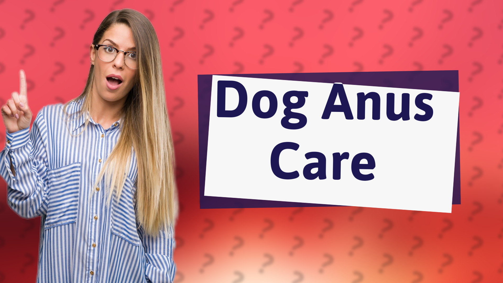 Dog Anus Care