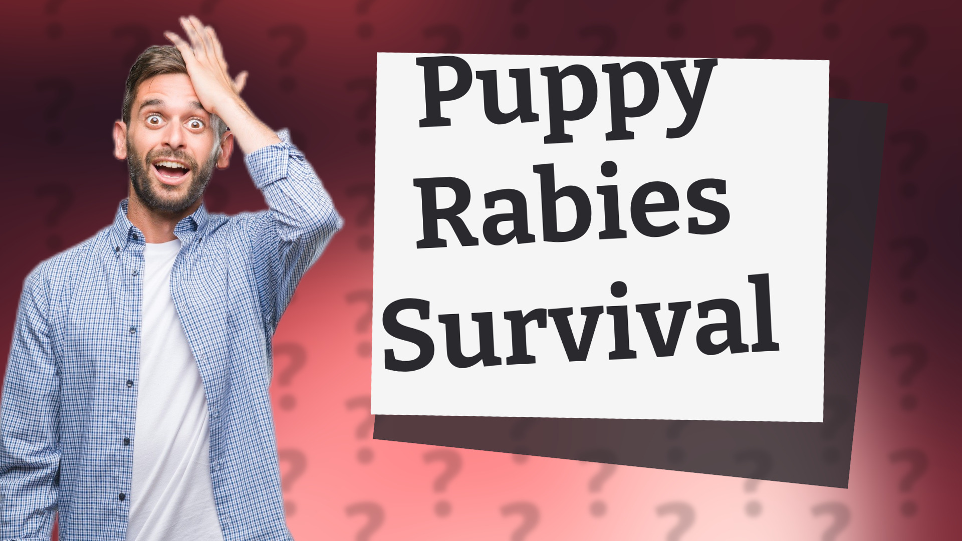 Puppy Rabies Survival