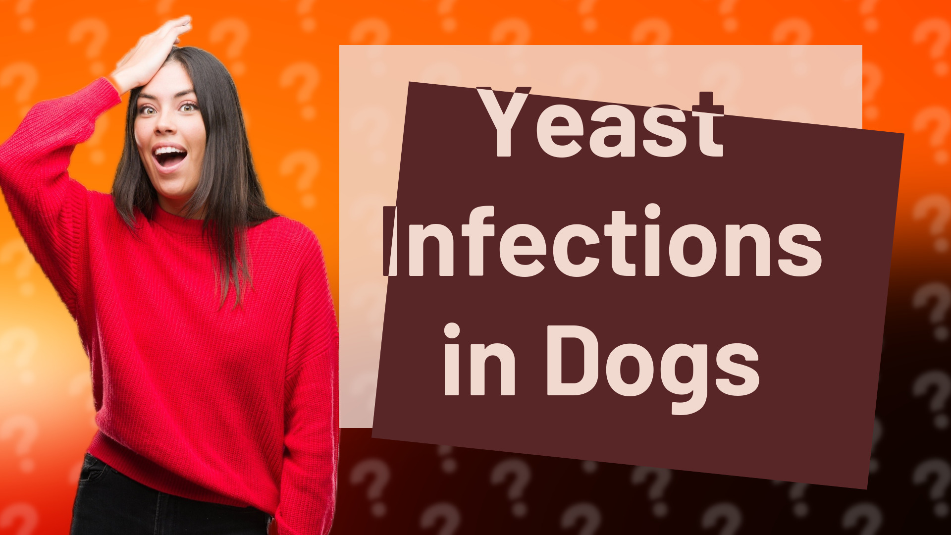 Yeast Infections in Dogs