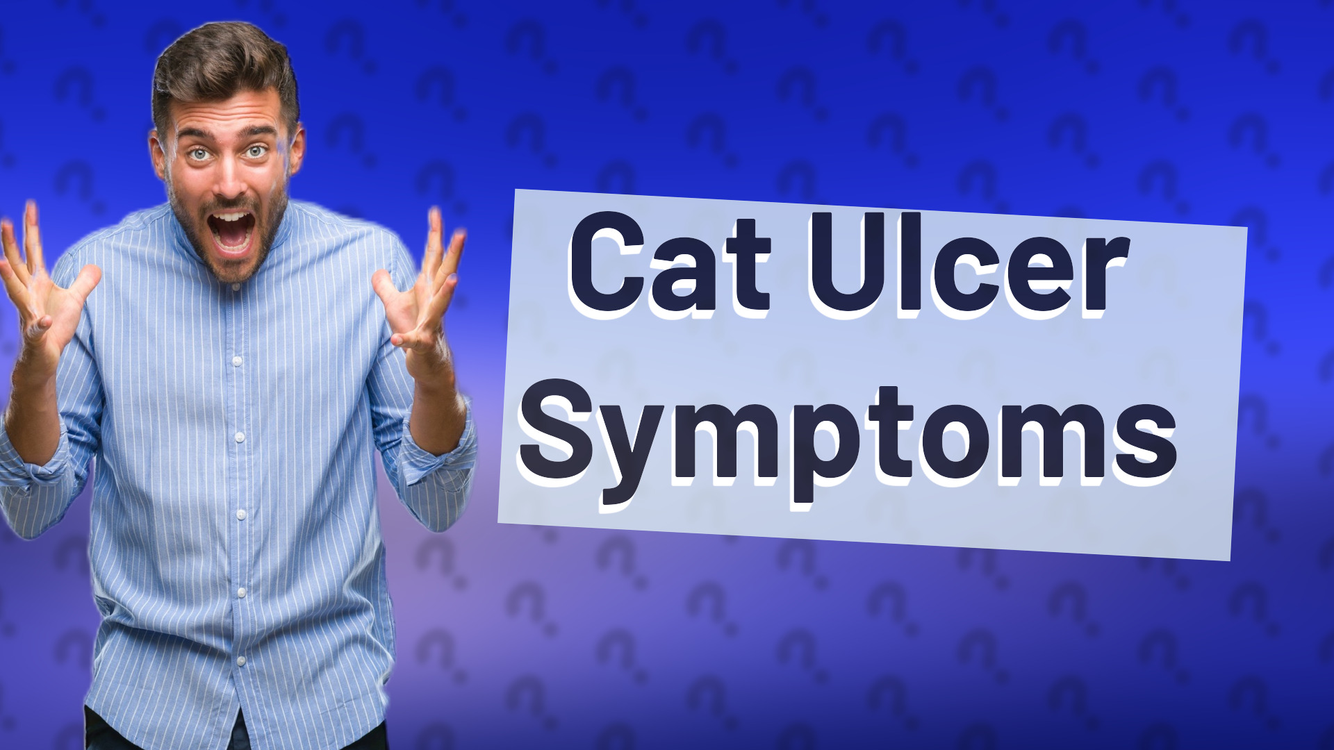 Cat Ulcer Symptoms