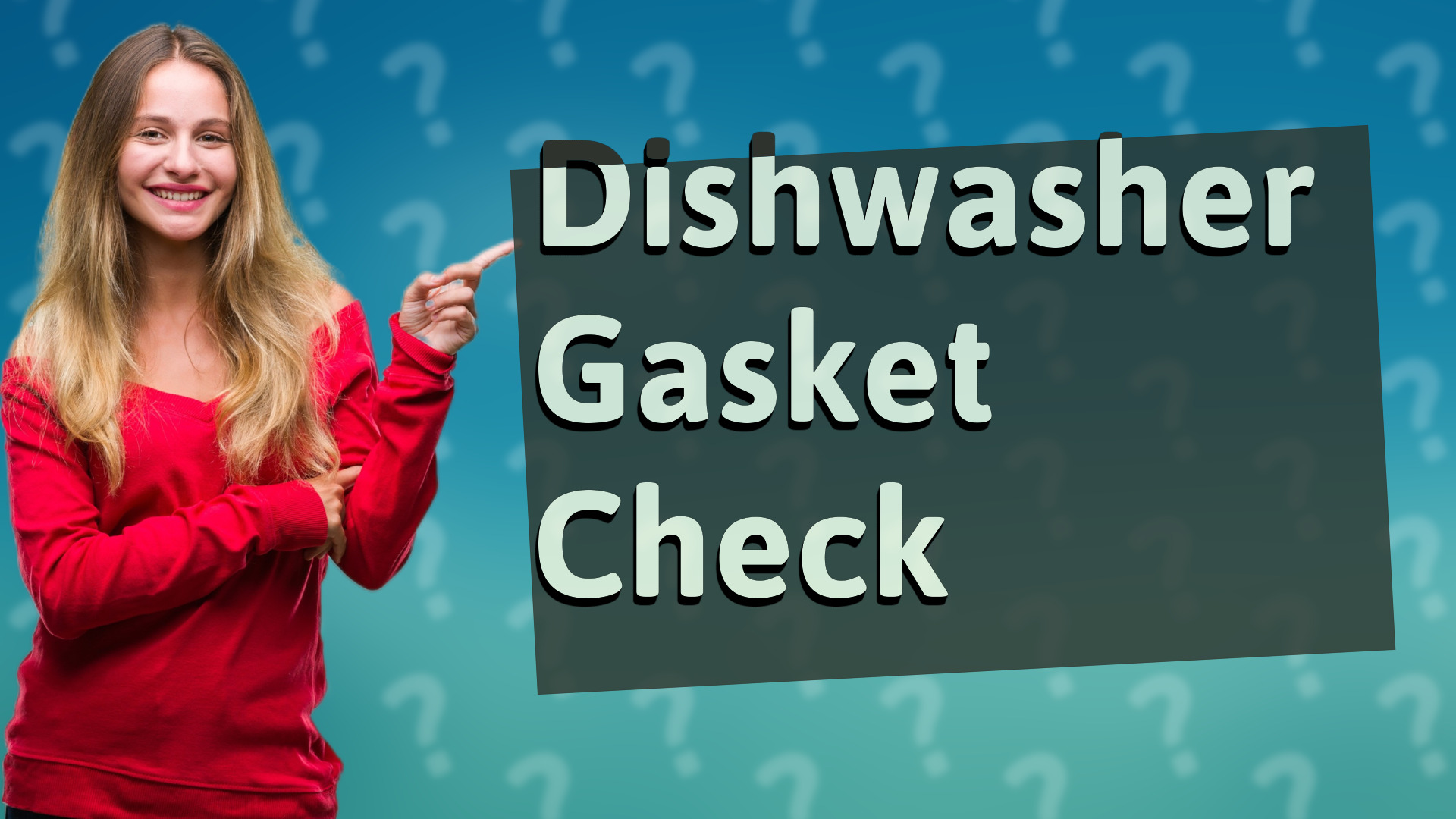 Dishwasher Gasket Check
