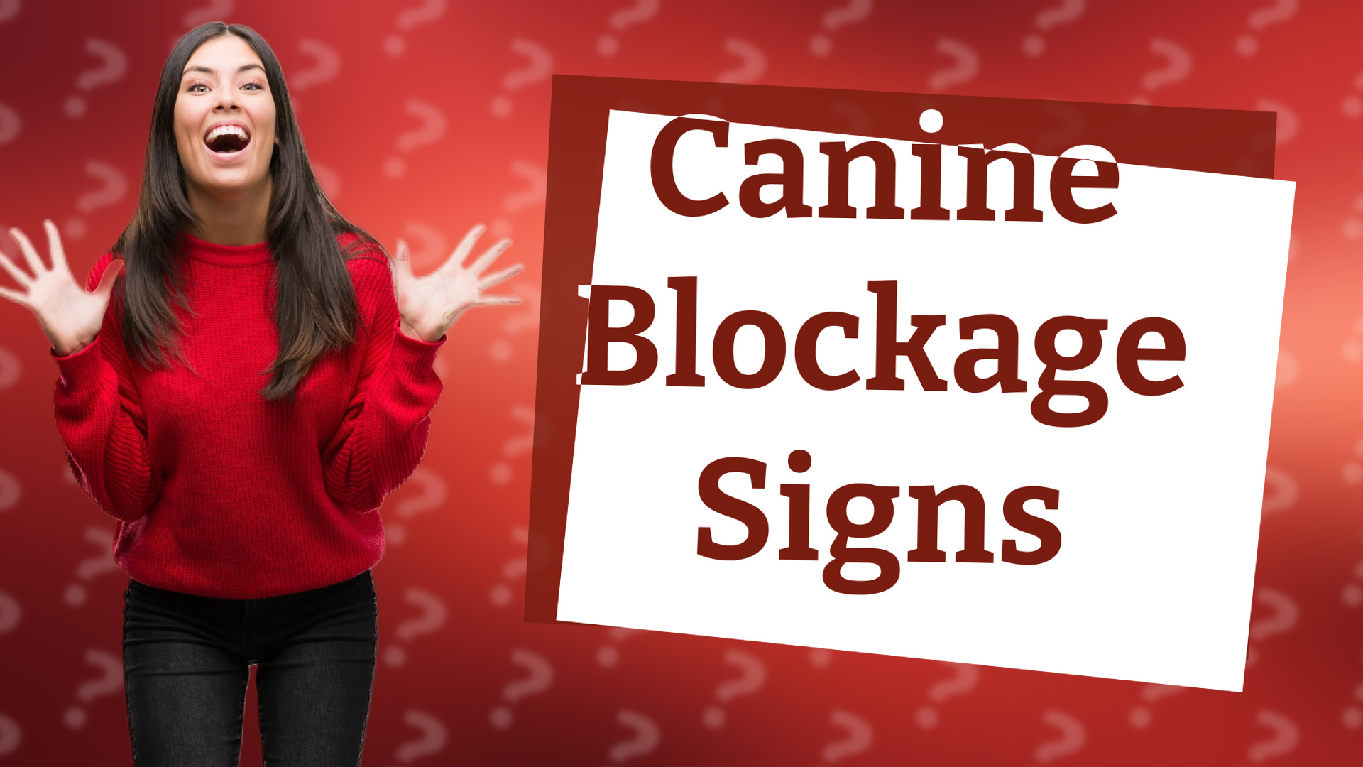 Canine Blockage Signs